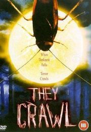 They Crawl They Crawl