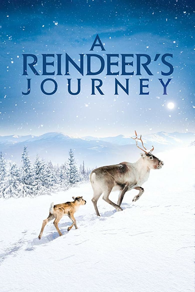 A Reindeer's Journey A Reindeer's Journey